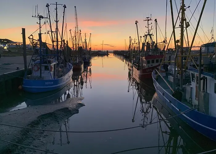 Ferienhaus Weitblick دورم نيوفيلد